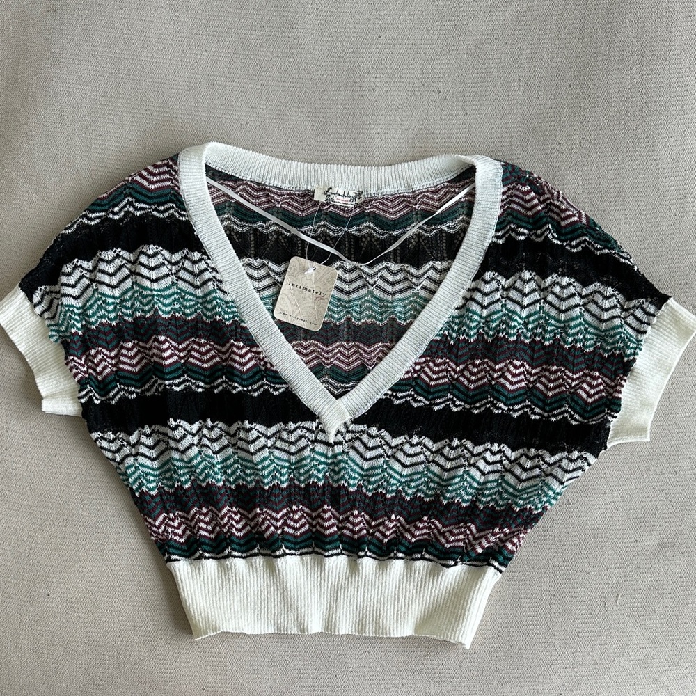 Free People Multicolor Chevron Crop Top